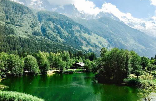 Modern 2BR 5* pool gym spa garage Mont-Blanc view - Photo 25