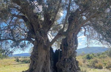 Calle Goya 16 - 4 personen met gemeenschappelijk zwembad - Foto 36