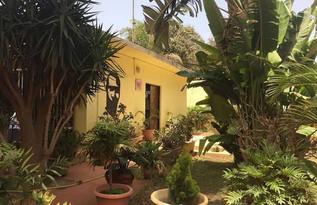 Studio in Tropical Garden - Photo 17