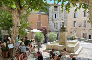 Villa 7 pers - Grande Piscine Privée - Luberon - Foto 53