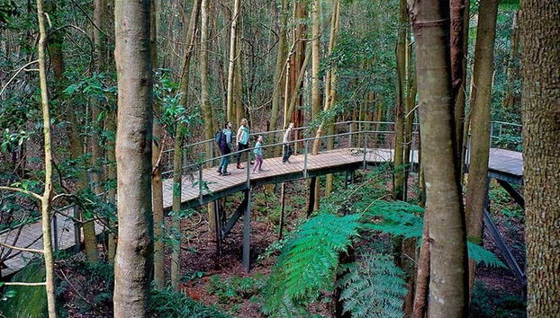 Blue Mountains, Scenic World + Sydney Zoo - Foto 4, Explorando el Parque Nacional Montañas Azules