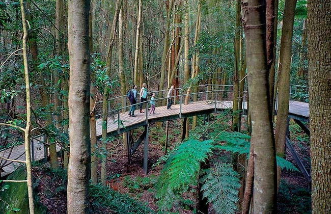 Blue Mountains e Scenic World + Sydney Zoo - Foto 6