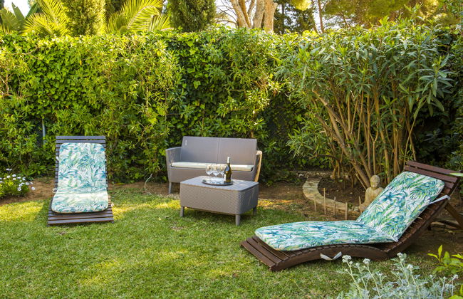 Mirlo Canta - Foto 27