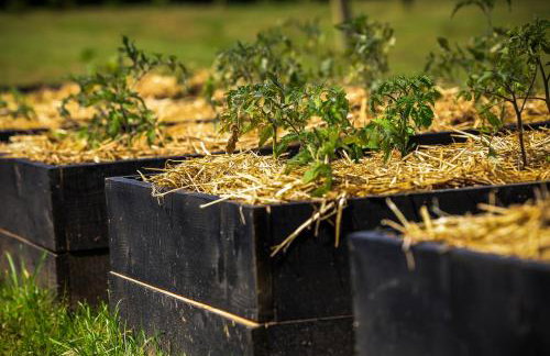 WoodenHouse with two Apartments - Foto 68