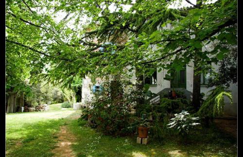 Holiday Home Botanica - Foto 7