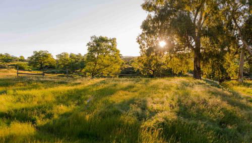 Casa Rural El Cabezo de Sierra de Gata - Foto 5
