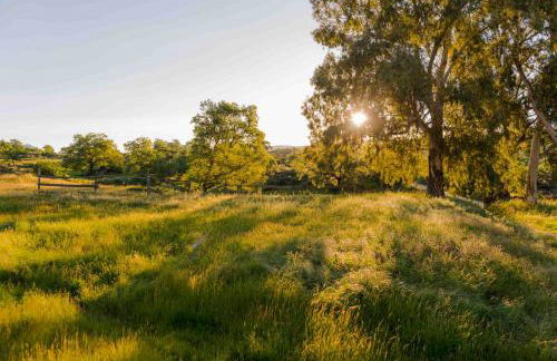 Casa Rural El Cabezo de Sierra de Gata - Foto 5