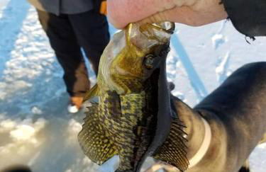 Sandy Hollow - Photo 21