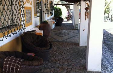 Monte dos Aroeirais - Foto 10