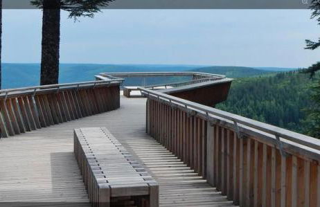 Ferienwohnung Schwarzwald Tannenzäpfle - Foto 53