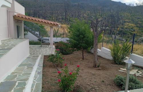 Σπίτι στο βουνό αλλά μια ανάσα από τη θάλασσα - Photo 9