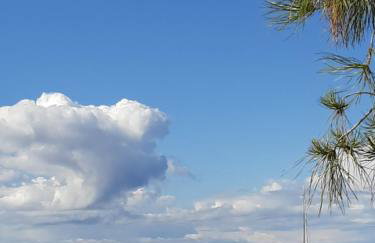 MINT&ROSE - Photo 22