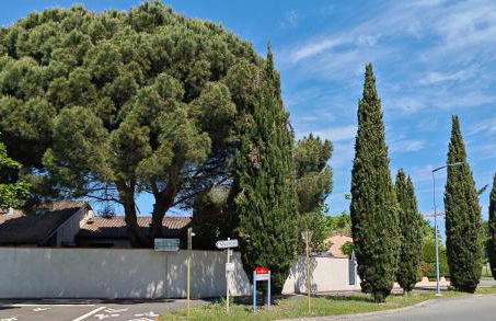 Maisonnette/Tiny House - Jardin privé - Foto 10