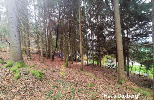 Ferienwohnungen Kremser bei Spiegelau Eppenschlag - Foto 55