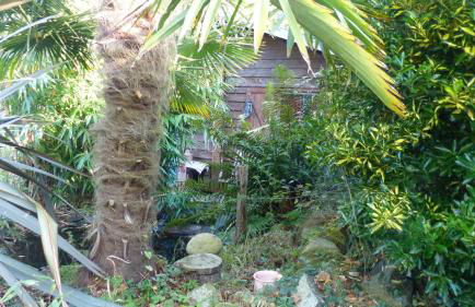 Entre terre et Ocean - Photo 9