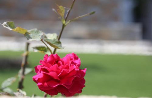 Villa Chroussa - Foto 45