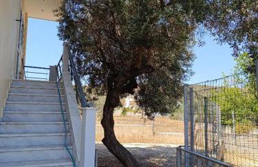 Μαρία 4 - Foto 14