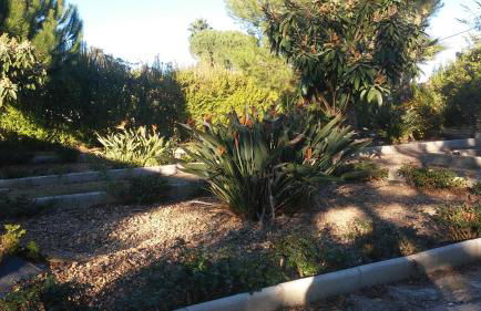 Alojamiento Rural VillaSol - Foto 18