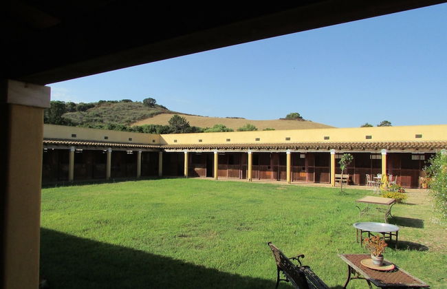 Cavalli di S'Arcaite - Foto 47