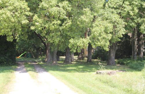 La Chartreuse et son Orangerie - Foto 52