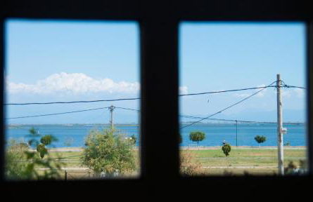 Sealake View - Photo 46