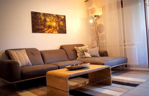 Schwarzwald geht immer Fewo 60 qm mit großem Südbalkon, WLAN und Magenta TV - Foto 2