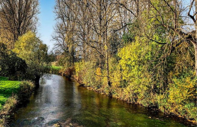 Ferienhaus in Amelgatzen mit Terrasse - Foto 31