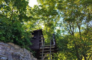 Weinberghaus - Wohnen im Weinberg in der Toskana des Nordens - Foto 54