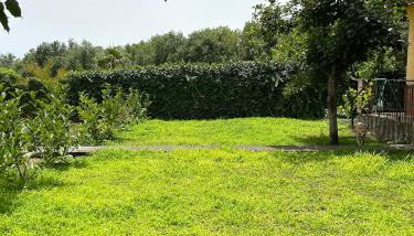 Villa Sara on Etna - Foto 3, Garden view