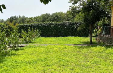 Villa Sara on Etna - Foto 3