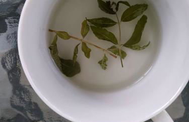 Chrysanty's tea house - Foto 51