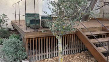 La Petite Rive - Les Oliviers - Foto 3