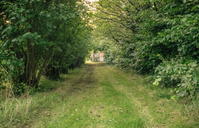 The Cider Barn - Gorgeous 2BD Near Bath - Foto 54