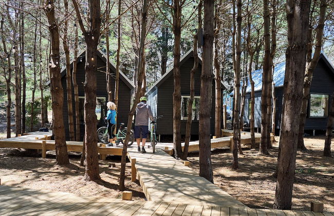 Black Forest Cabins - Photo 22