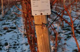 Charmante Ferienwohnung 100 qm - Foto 37