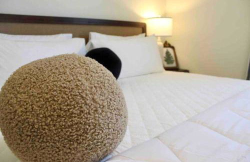 Stylish Cozy Family Cottage with Golf Cart - 1 mile to Dwntn Ocean Springs and beach - Foto 27