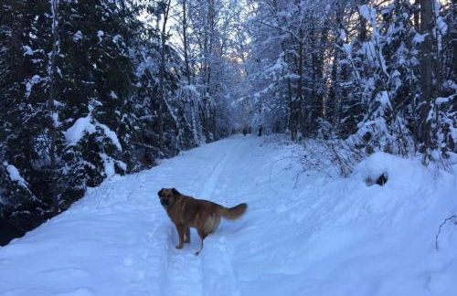 Apartment Chinook,La Praz,Chamonix Mont Blanc - Photo 40