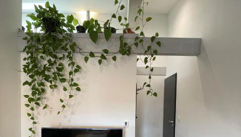 T2 de 40 m2 - facile d’accès, lumineux et au calme - Foto 3