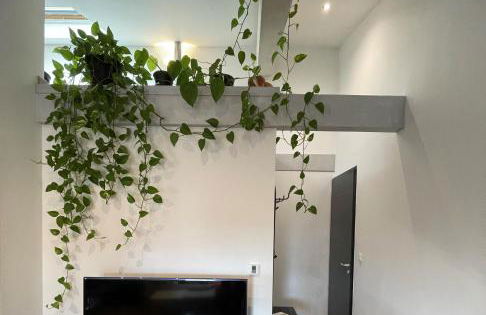 T2 de 40 m2 - facile d’accès, lumineux et au calme - Foto 3