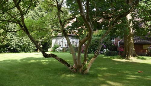 Lüttje Paradies - Foto 2