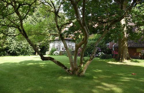 Lüttje Paradies - Foto 2