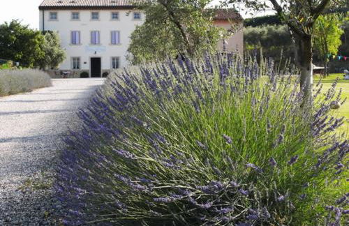 Agriturismo Casa Aurora - Foto 56