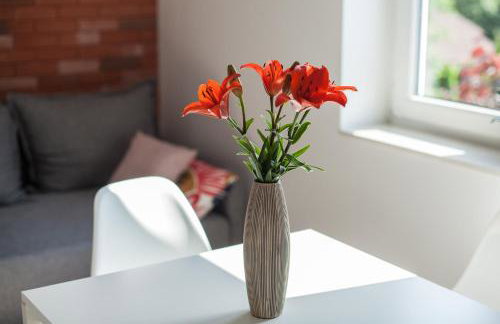 Lawendowo- sauna, jacuzzi, domki w ogrodzie i apartamenty w kamienicy - Photo 34