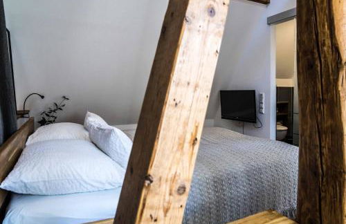 BESIGHOMES außergewöhnliches Apartment LOFT im Herzen der Altstadt - Foto 9