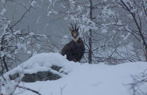 Orcières Location By JL - Pied des Pistes - Piscine - Foto 10