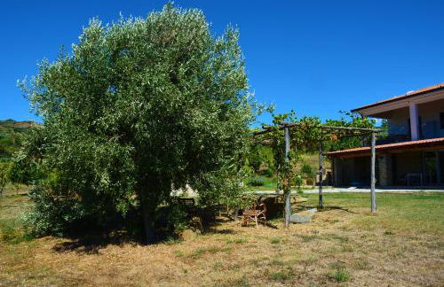 Casale Dionisia, Santa Maria di Castellabate - Foto 68