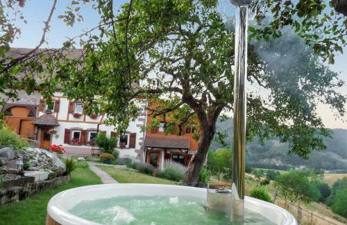 Maison pittoresque à Sainte-Croix-aux-Mines, vue sur la montagne - Foto 8