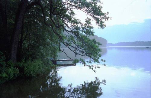 Ferienhaus Pirol - Photo 37