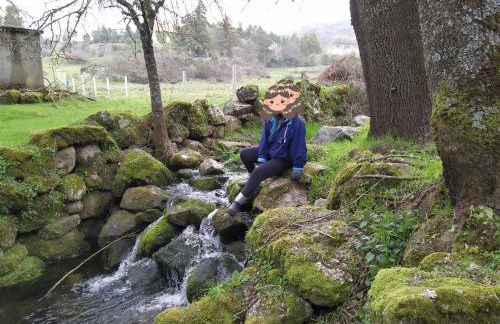 Turismo Rural Macieira Brava - Foto 10