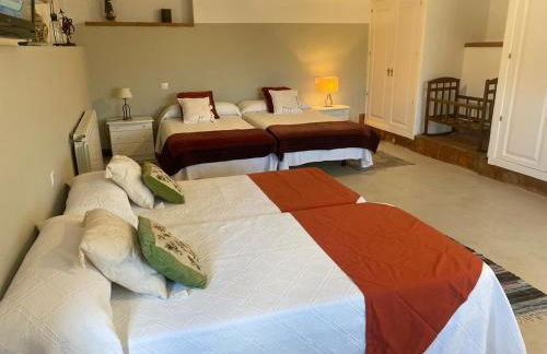 Finca Los Sauces-Rural House-Buenasbodas-Toledo - Foto 66